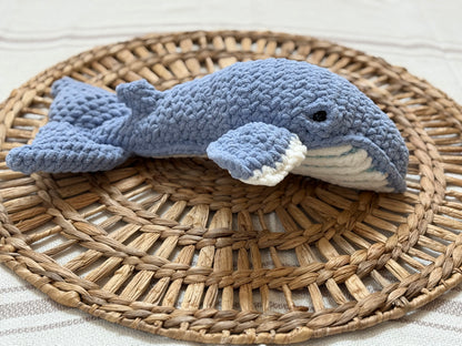 Baby Hugo the Humpback Whale